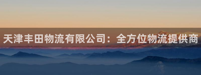 28圈注册号：天津丰田物流有限公司：
