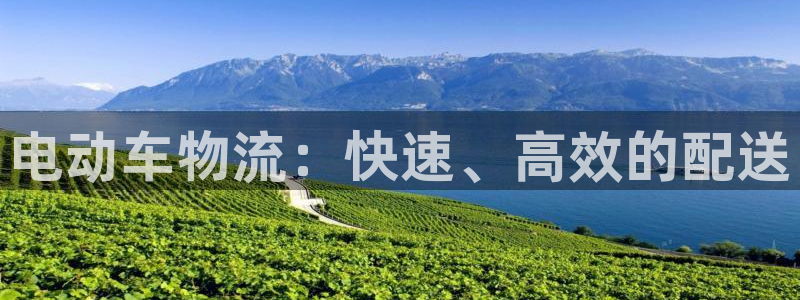 28圈是什么软件：电动车物流：快速、