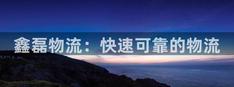 28圈注册问一问：鑫磊物流：快速可靠