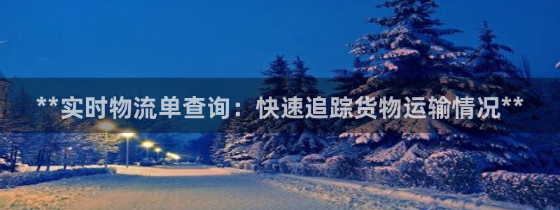 28圈p图上分下款通道：**实时物流