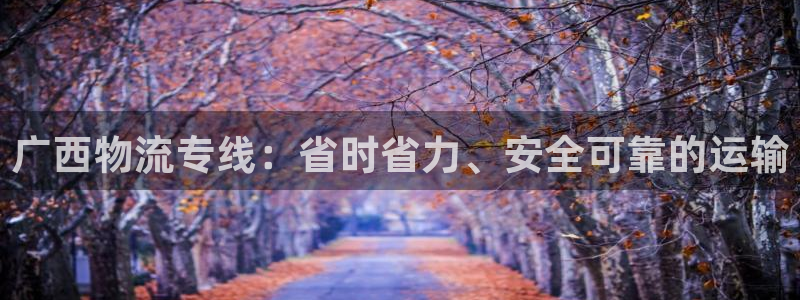 28圈怎么注册账号：广西物流专线：省