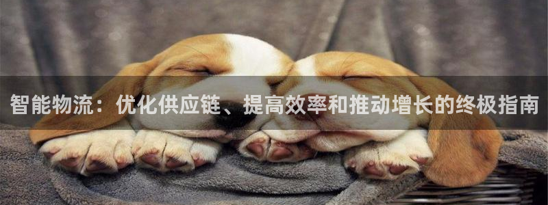 南宫28圈官网版：智能物流：优化供应