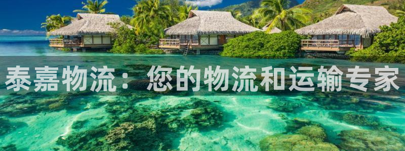 28圈口内径是多大