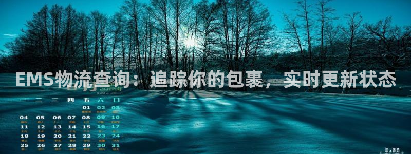 28圈登录流程：EMS物流查询：追踪