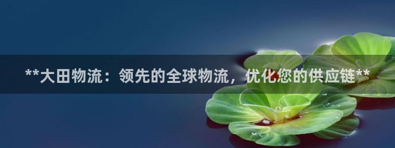 加拿大28圈是什么：**大田物流：领