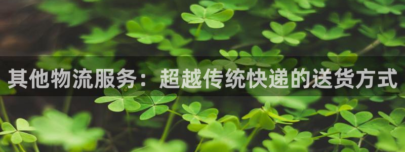 28圈登录不上咋回事：其他物流服务：