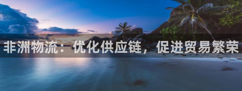 28圈注册登录链接流程：非洲物流：优