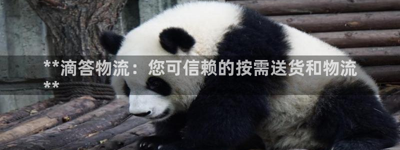 28圈注册网址百度知道：**滴答物流