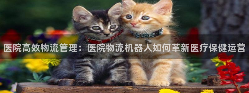 28圈如何退款：医院高效物流管理：医