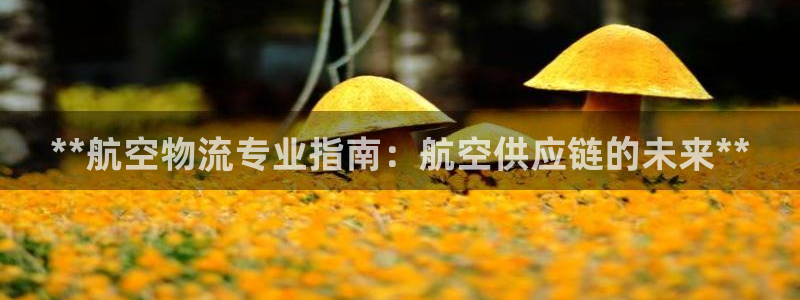 28圈.ccmpc是诈骗吗?