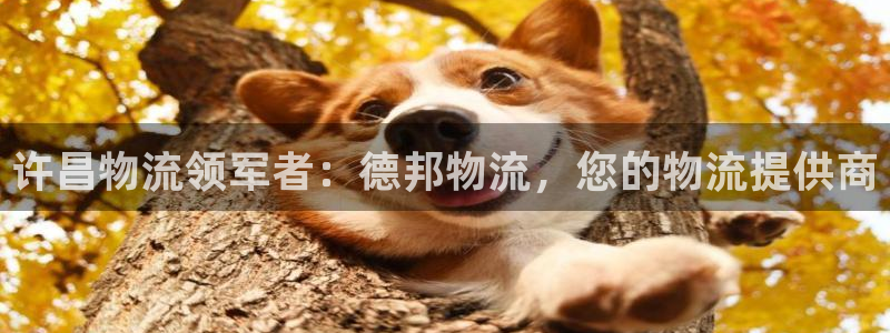 28圈登录不上咋回事：许昌物流领军者