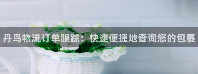 28圈反水什么时候到