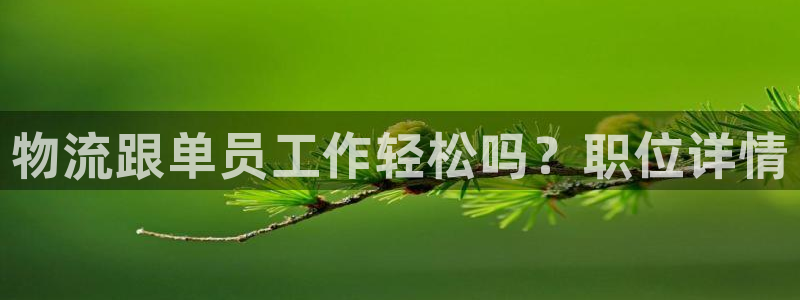 28圈加拿大在线预测