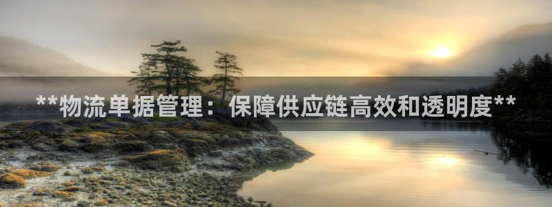 28圈充值不处理怎么办：**物流单据
