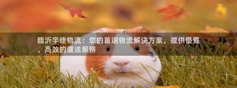 28圈麻将胡了在线试玩