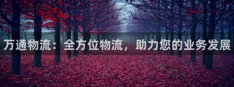 28圈充值不到账怎么办