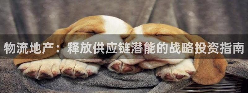 28圈链接来一个