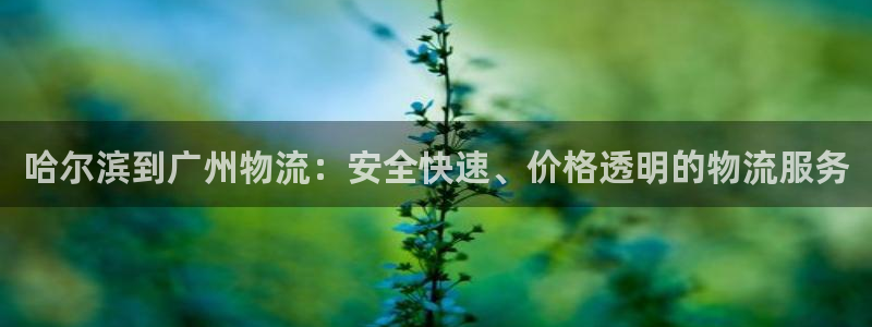 28圈怎么注册账号和密码