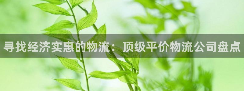 28圈官网开奖结果预测查询：寻找经济