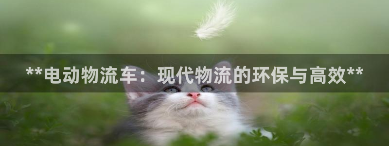 28圈客服电话