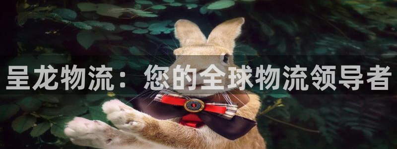 28圈麻将