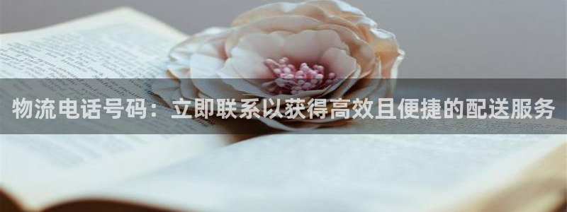 28圈游戏链接