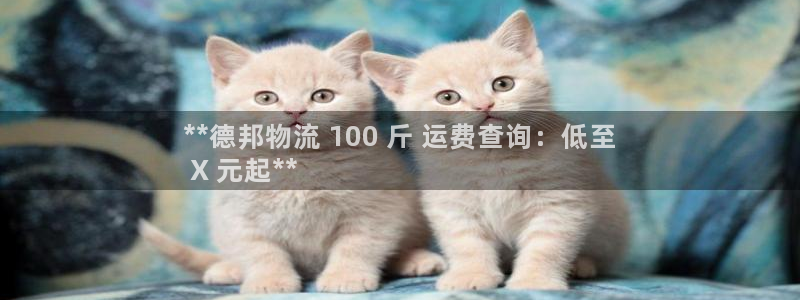28圈昵称