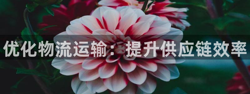 28圈充值不处理