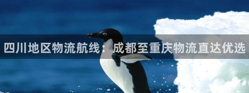 28圈预测加拿大师准