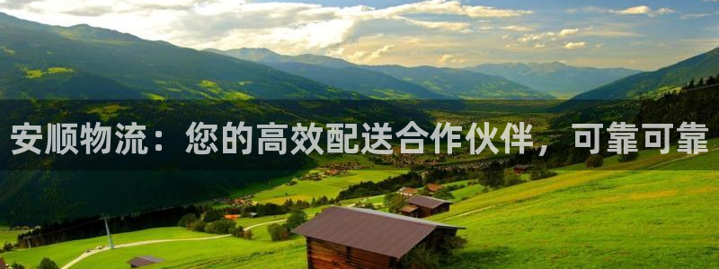 28圈电子游戏