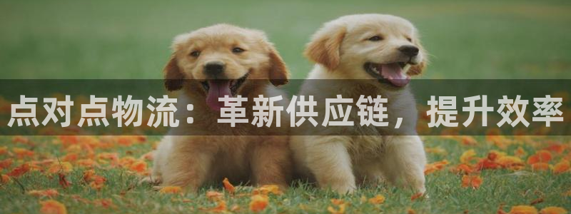 28圈口戒指是多大