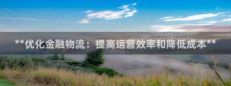 28圈模拟器：**优化金融物流：提高