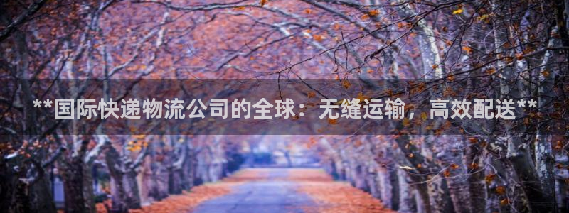28圈旗下
