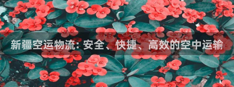 28圈游戏官网入口