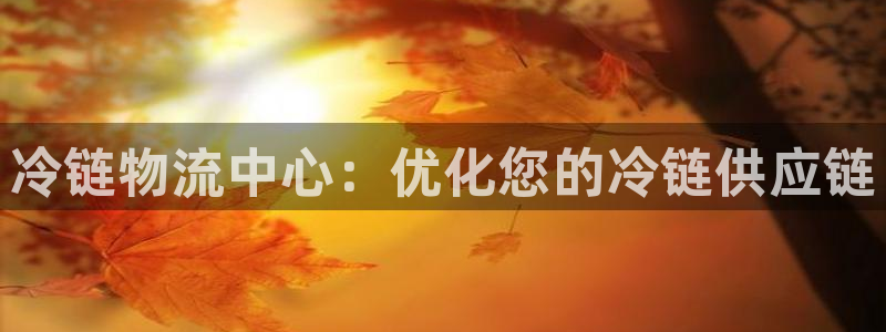 28圈选28ng官网