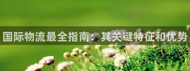 28圈注册入口与教程