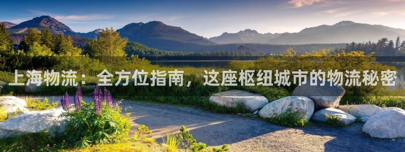 28圈是什么是赌博吗?