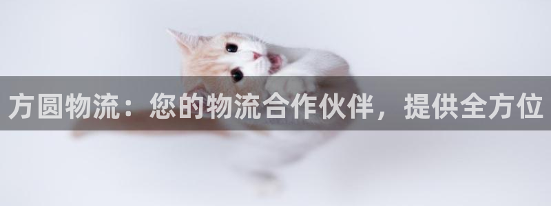 28圈注册问一问