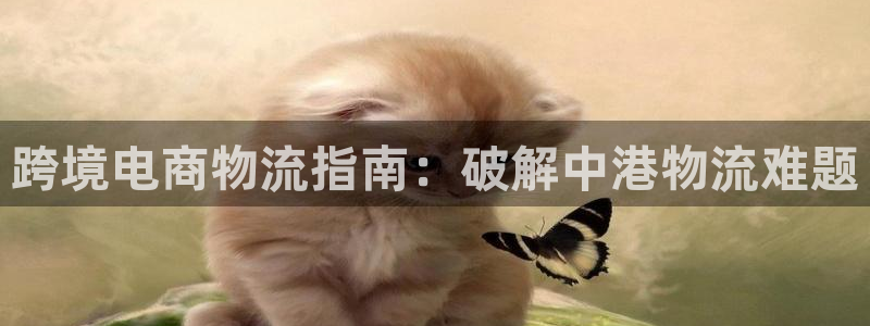 28圈.ccmapp