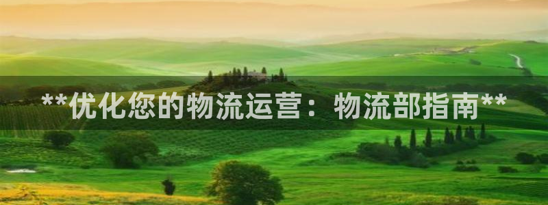 28圈pg麻将胡了