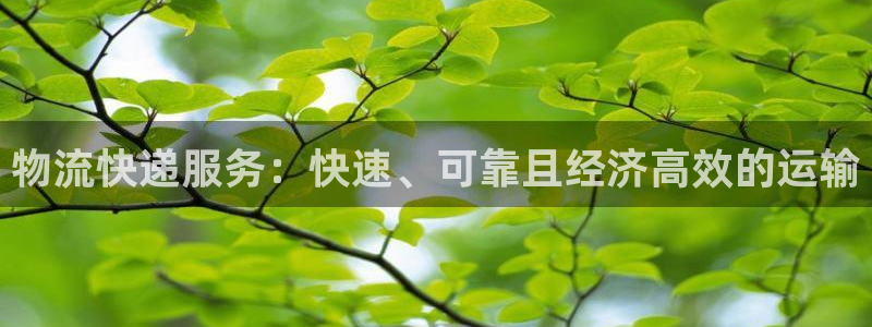 28圈注册网址百度知道