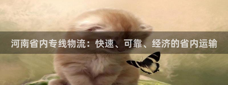 28圈官网平台：河南省内专线物流：快