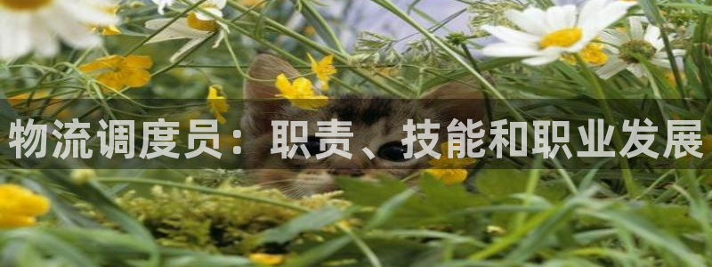 28圈登录流程