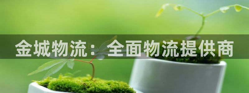 28圈官方平台