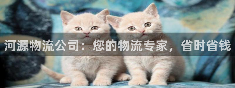 28圈和南宫28什么关系：河源物流公