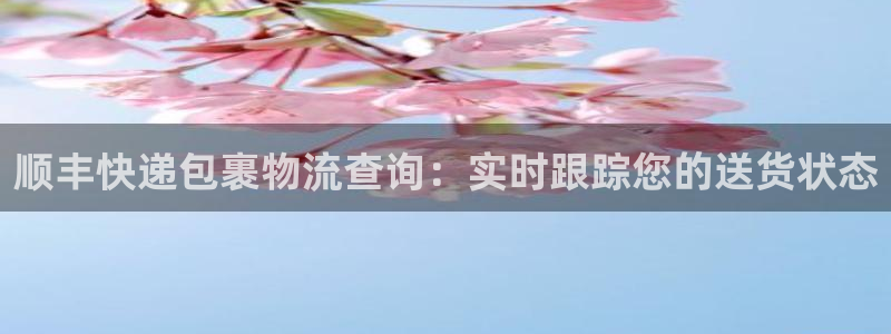 28圈游戏链接