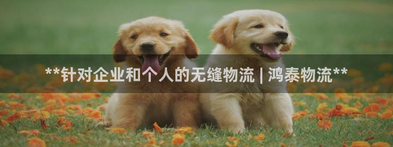 28圈官网平台下载