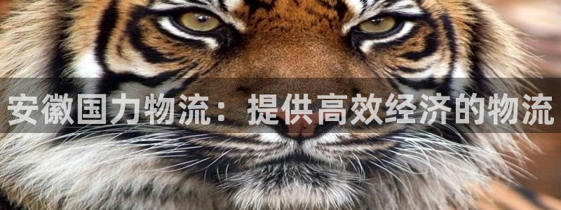 28圈如何退款
