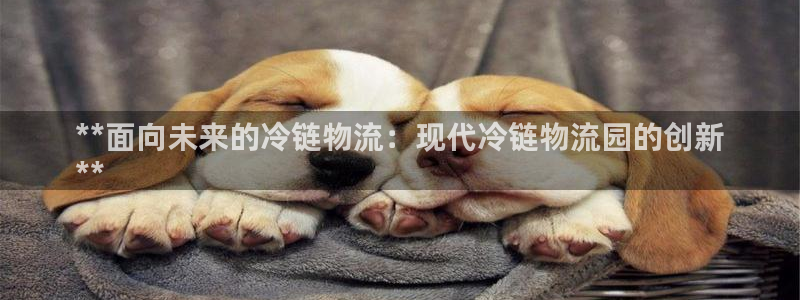28圈如何看计划