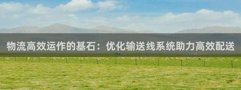 28圈充值不处理会怎么样：物流高效运